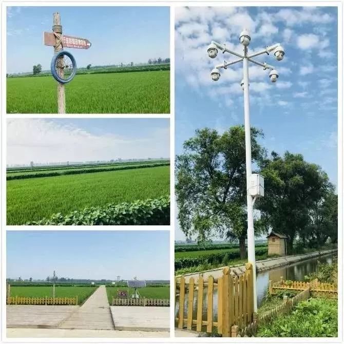 盘锦大洼旅游的地方,盘锦大洼野游