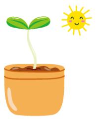 童颜小玉米做法,小玉米甜糯低脂