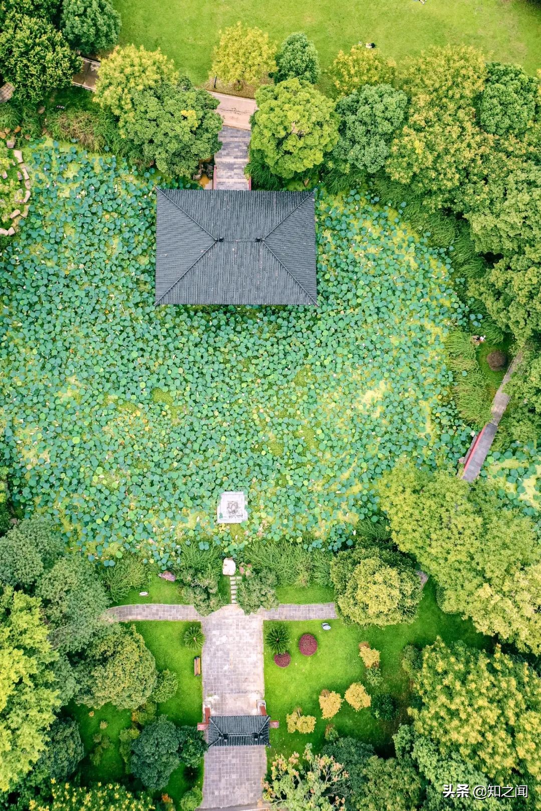 中国车谷，别低调了！你真的很OK