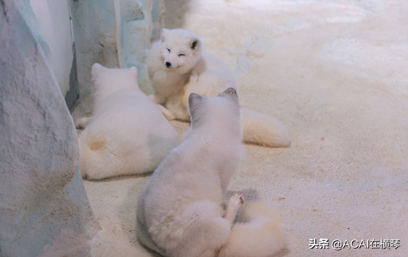 吃喝玩乐in珠海,珠海吃喝玩乐一体的地方