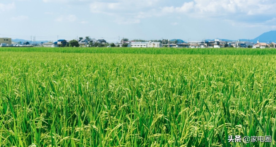 家电行业将面临怎样的新周期大考,家电产业下一个十年的机会出现