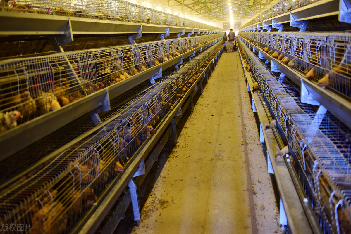 曲靖致富商机,曲靖最新商机