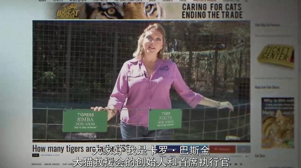 一夫多妻、*教邪***脑洗**、富豪失踪，你敢跟我说是真人真事？