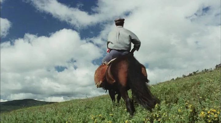 腾格尔曾经出演过哪部电影,腾格尔友情出演的电影