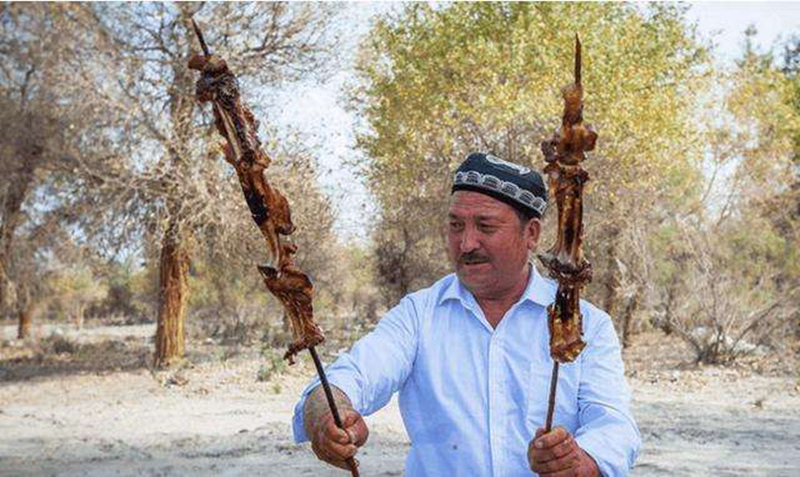 去新疆点了20串羊肉串后续,去新疆点了20串羊肉