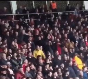 鑻辫秴鎸戣涓诲満鐞冭糠,鑴戞畫鐞冭糠