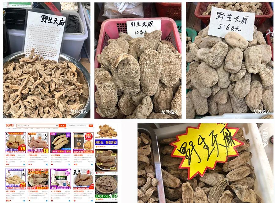 安徽道地药材天麻,天麻的道地药材