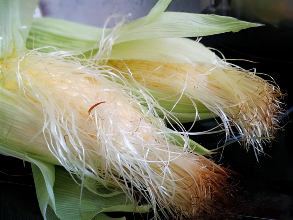 吃玉米棒子能帮助消化吗,吃玉米棒子能通便润肠吗