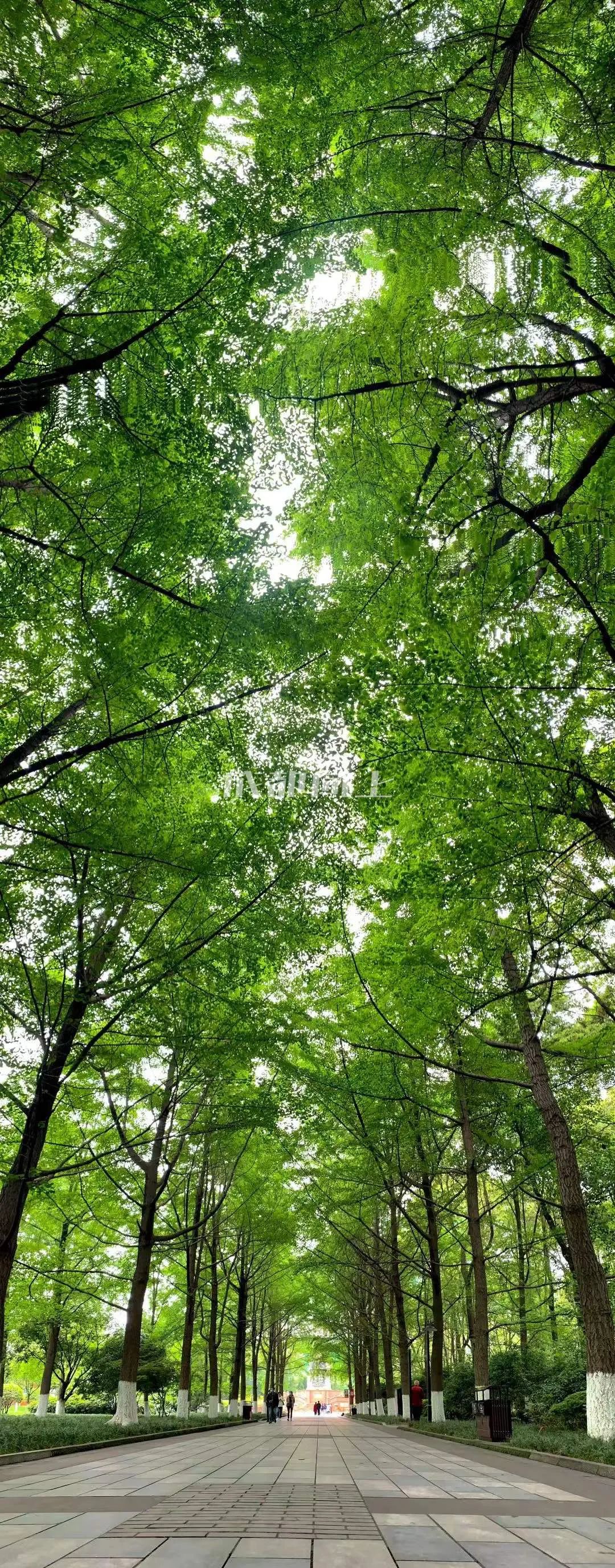 成都公园运营模式,成都公园维护成本