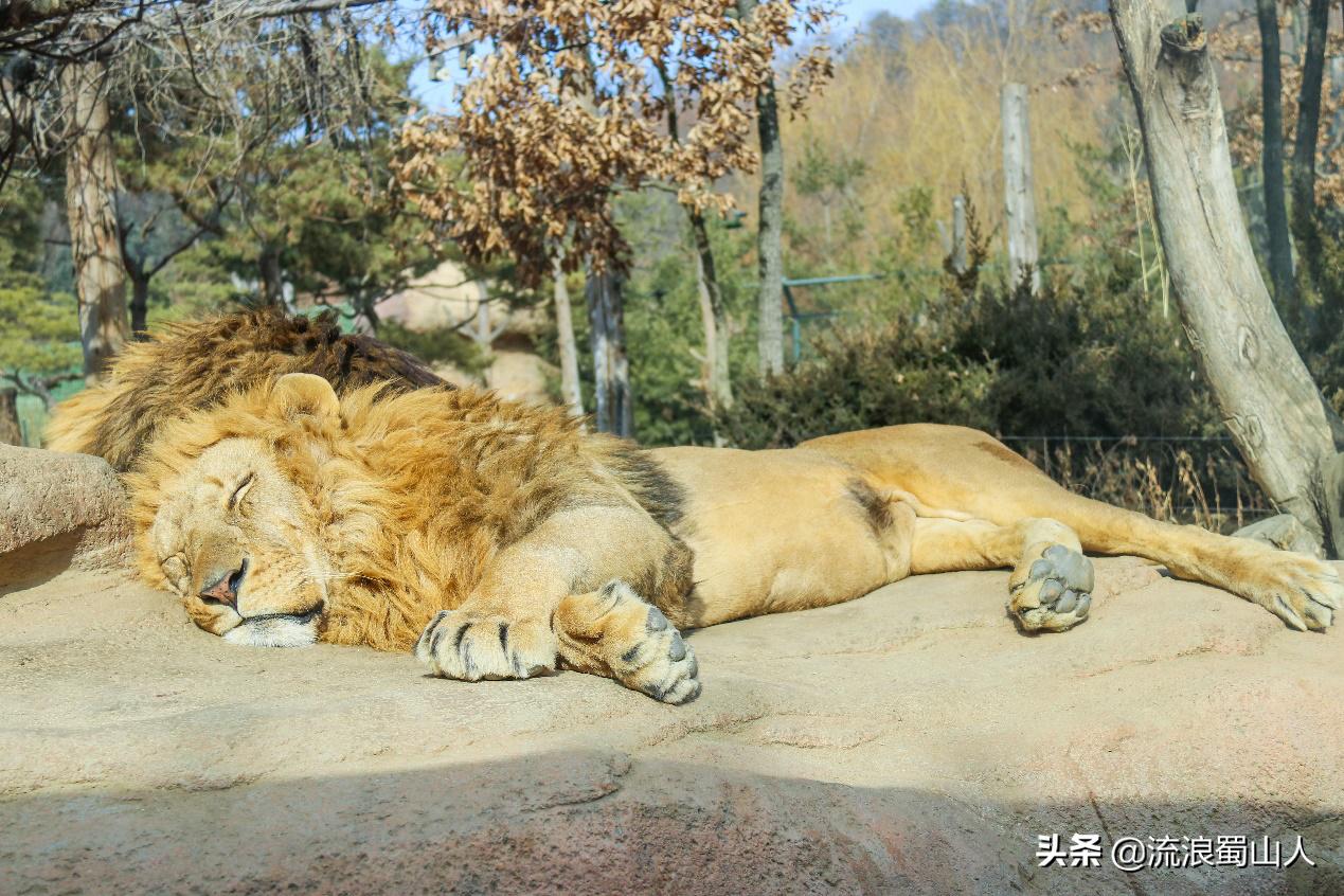 韩国初见,初见韩国版