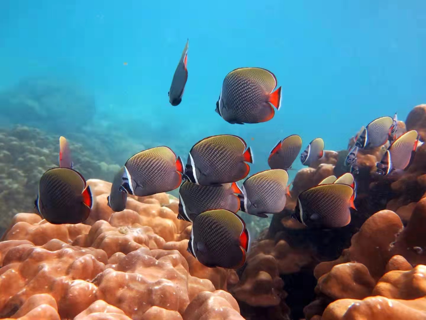 泰国旅游漫游,泰国6天惊喜之旅