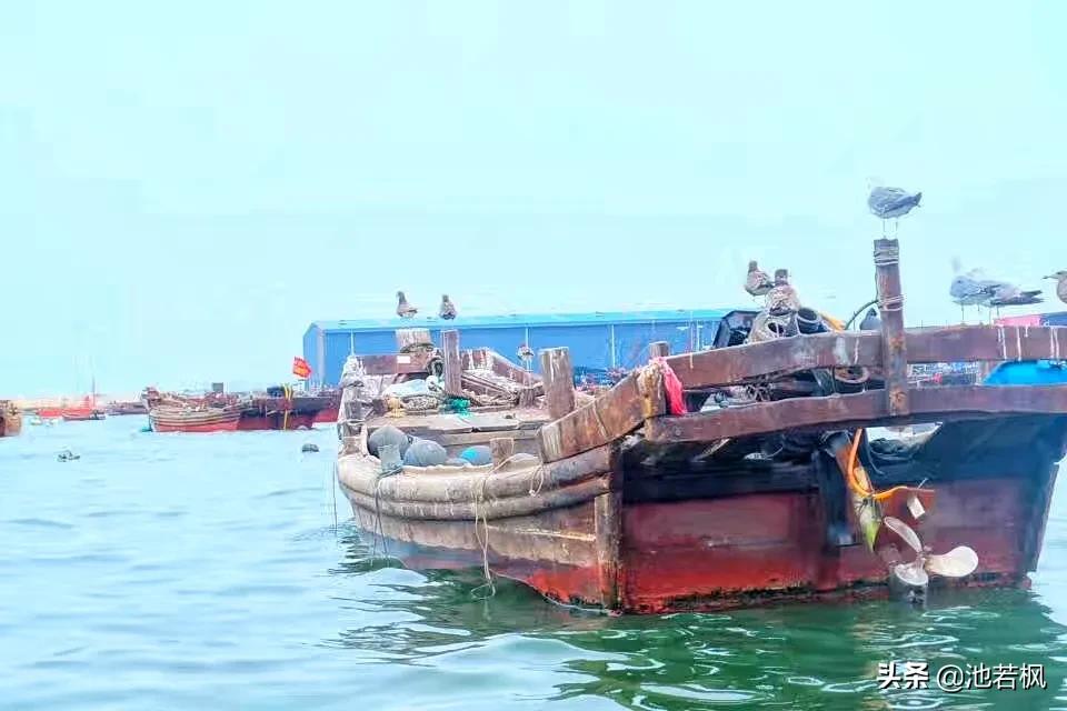 大连不一样的旅游,大连不一样的天气