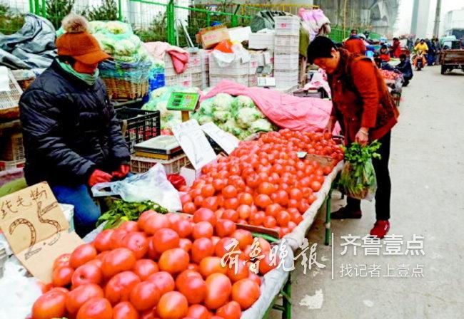 西红柿放半个多月不坏什么原因,西红柿如何长得快