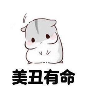 怎么看自己的文笔好坏,如何看文笔的好坏