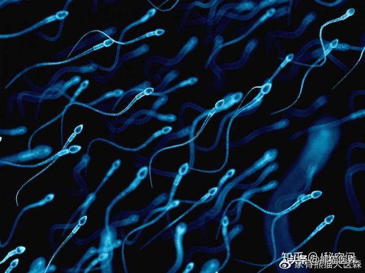 给我三分钟，一起读懂你的精液