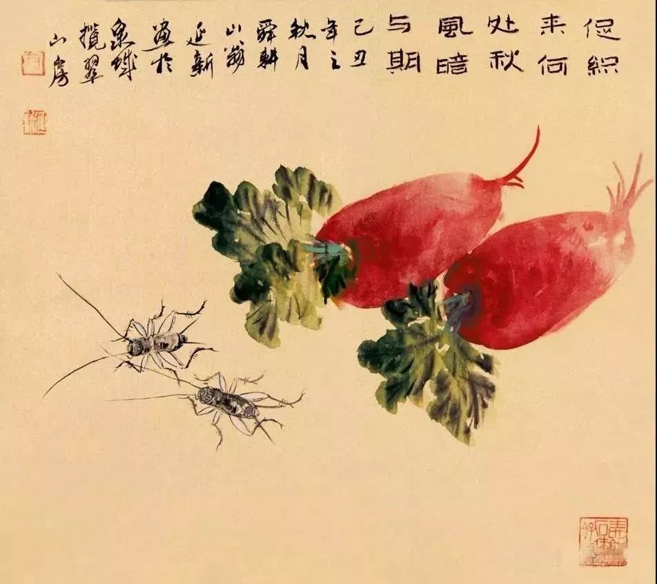 齐白石水墨小品欣赏,齐白石虫草长卷