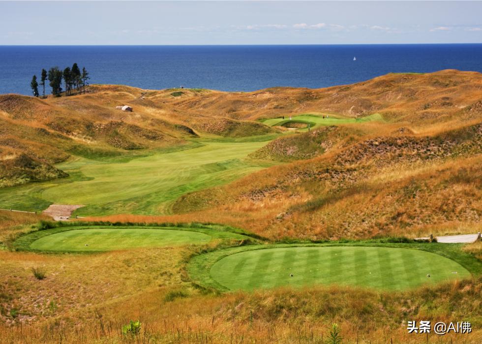 美国圆石滩高尔夫球场,美国高尔夫球场数量