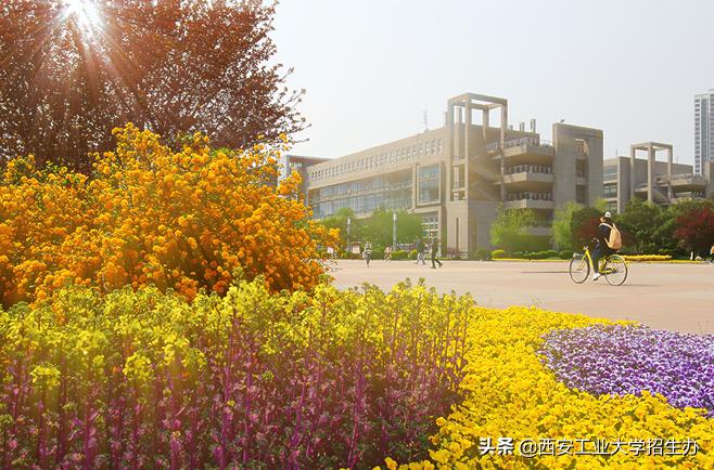 拜年要压岁钱新花样,拜年花式创意