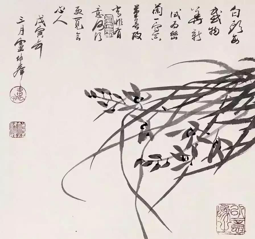 如何画兰花最好看的,君子兰花如何画