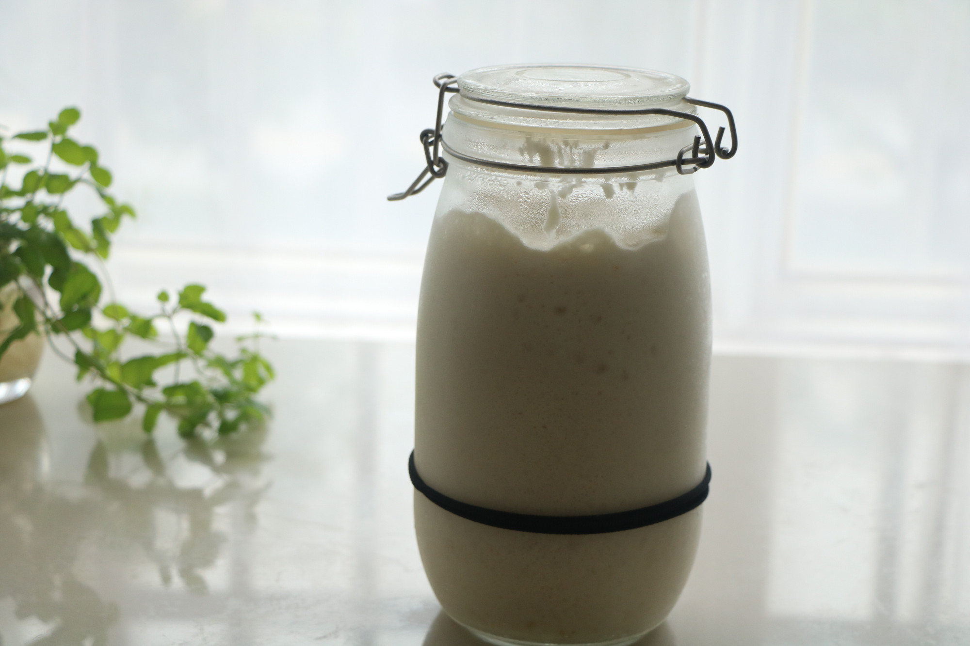 做包子用高酵母还是低酵母,如何用高活性干酵母做包子