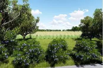 8个新批公园,占地约1350亩生态湿地公园