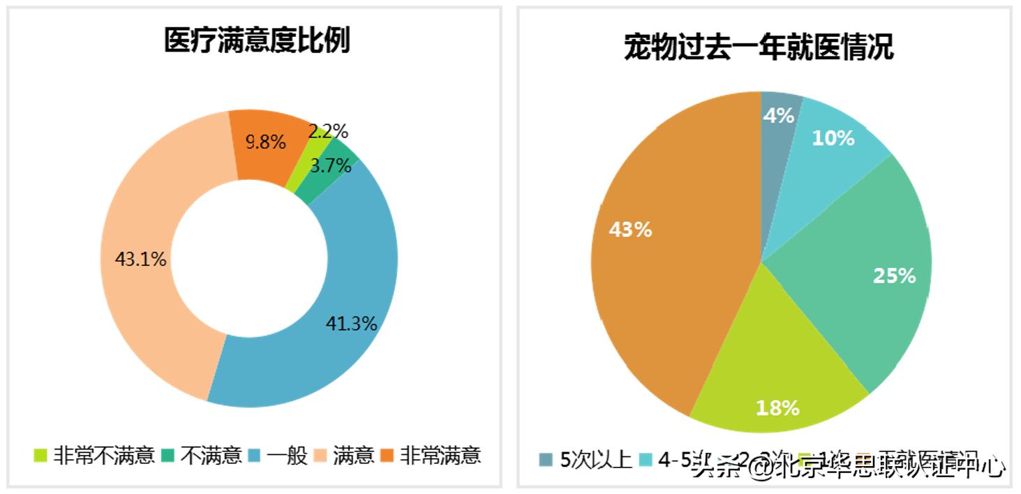 宠物电商为什么没有爆发,宠物行业电商市场