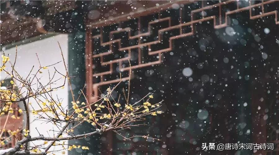 雪三分白雪却输梅一段香什么意思,雪三分白雪却输梅一段香翻译