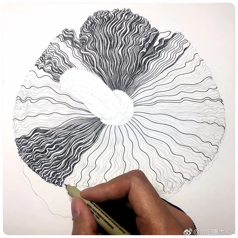 简单针管笔手绘花,简单易学针管笔手绘