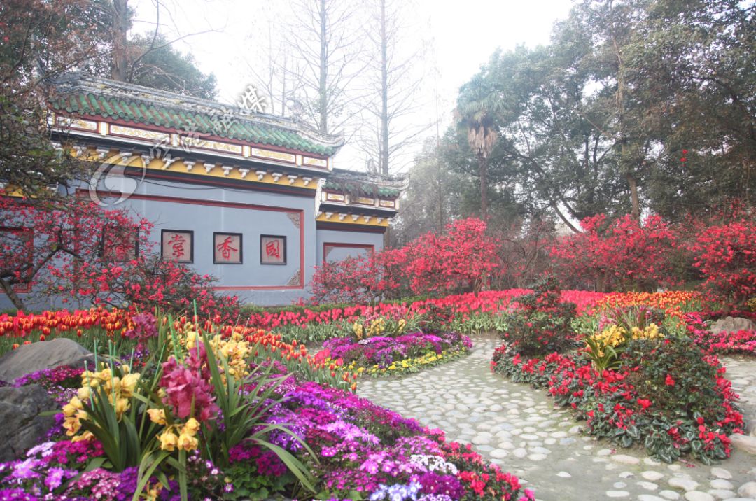 空港花田今天收门票吗,空港花田19.9门票