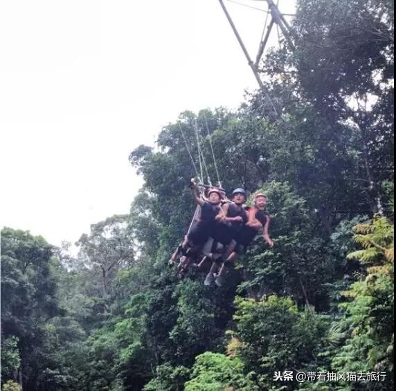 澳大利亚极致之旅,来澳大利亚必买