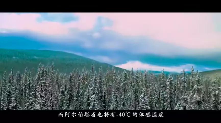 北大学生回国种菜,一位北大毕业生在加拿大种菜