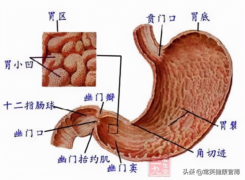 胃镜检查后要注意什么？3件事，有的人不以为意