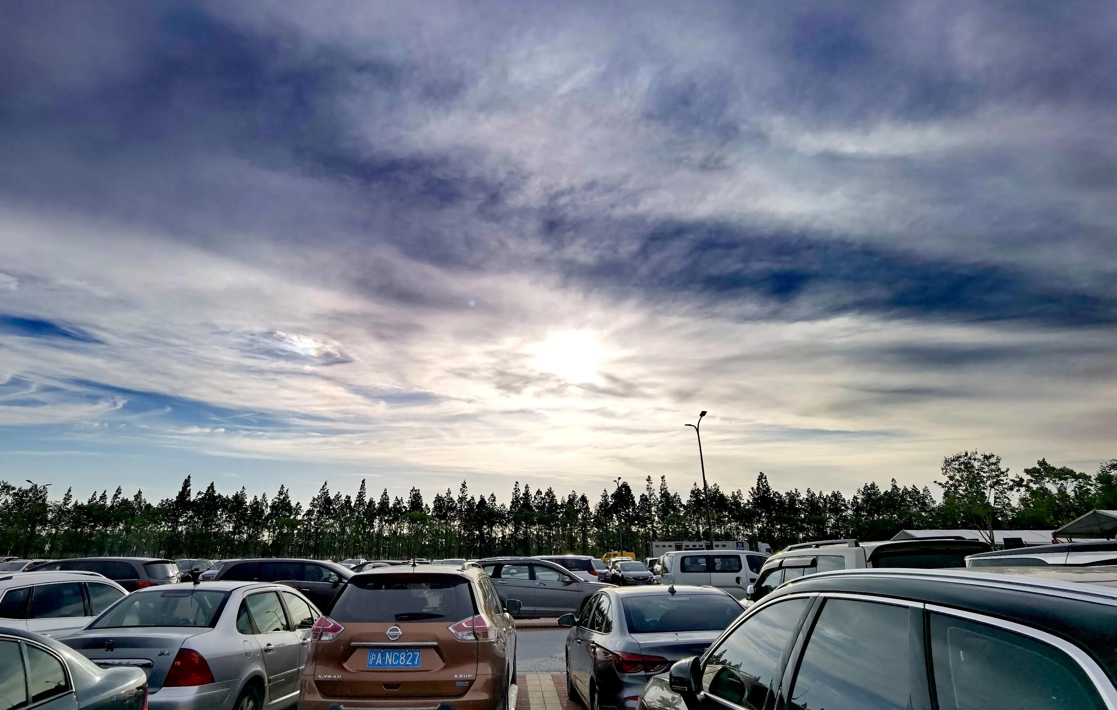 关于崇明花博会,崇明花博会全程花景