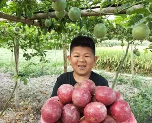 广西有哪些淘宝村,广西五个淘宝村