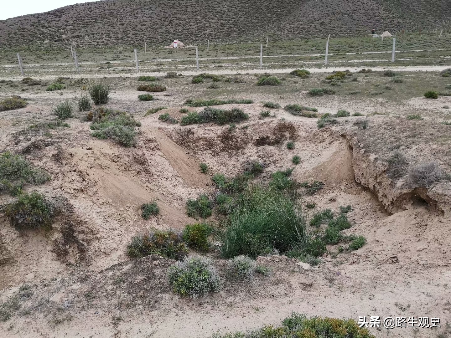 培黎学校真实情况,培黎学校的历史