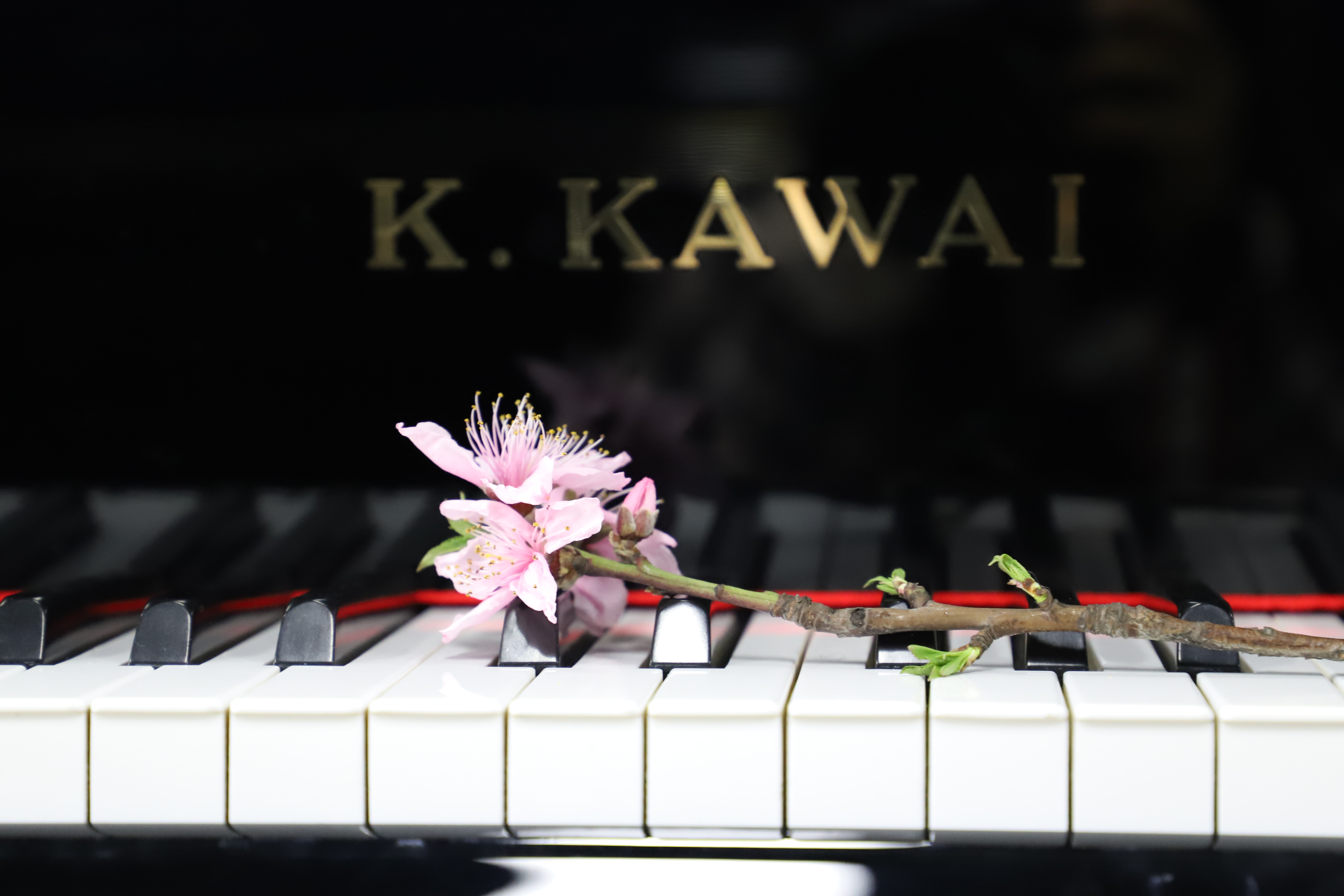 二手钢琴靠谱吗,二手钢琴好出售吗