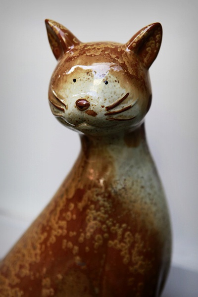 最新鼓浪屿一日游旅游攻略,旅游攻略鼓浪屿自由行攻略