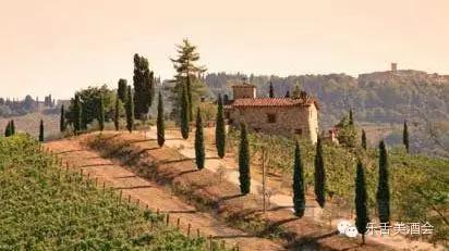 意大利西施佳雅系列 (西施佳雅怎么分辨真伪)