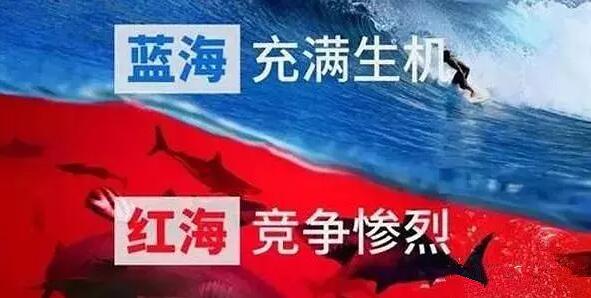 蓝海战略六大原则解析,蓝海战略思考