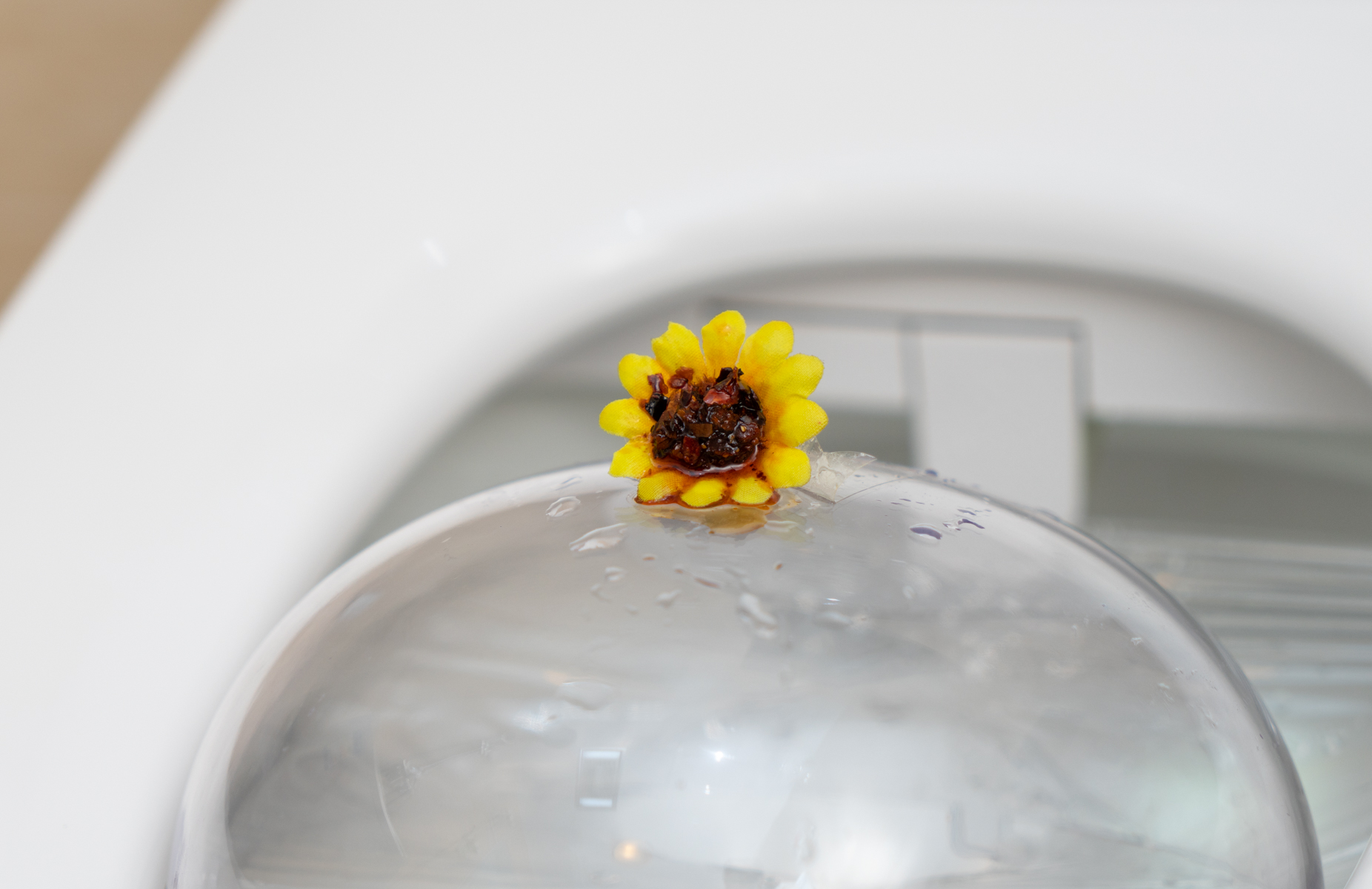 好用的智能马桶真实感受,用过智能马桶的感受是怎样