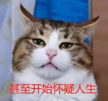 儿童牛奶跟普通牛奶的区别,儿童牛奶好还是儿童奶粉好