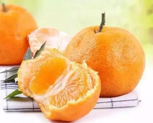 蒲江春见耙耙柑不知火丑柑,春见耙耙柑和耙耙柑有什么区别