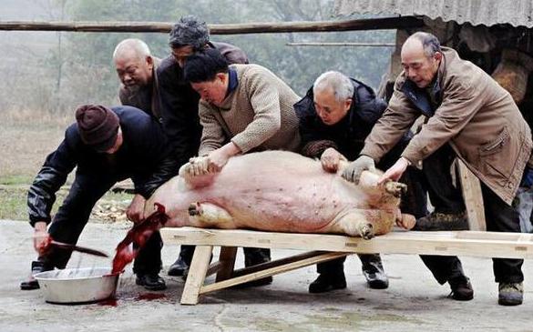 农民不遵守规定,农村不成文的规矩