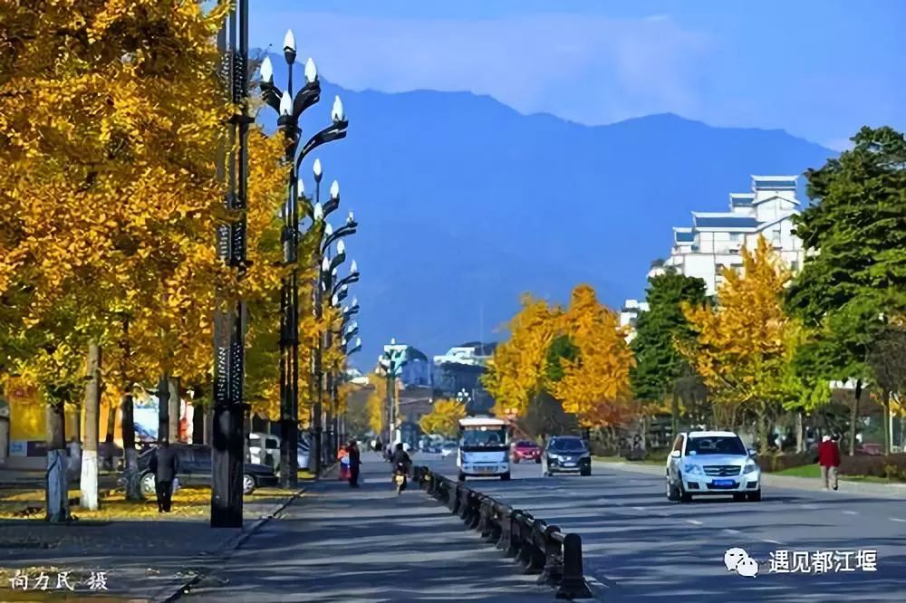 2019年都江堰视频纪录片,2019天府之国都江堰
