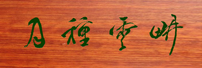 杨再春谈创立中国书法家协会,中国书法家协会创始人之一杨再春