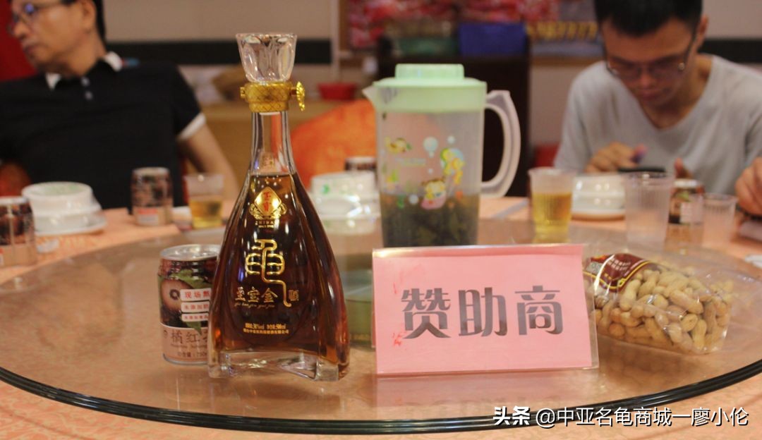 沙琅龟协会,沙琅乌龟协会