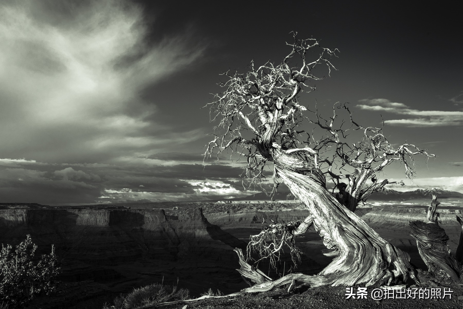 美西荒原,最美西藏拍摄地