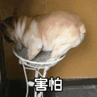 护肤成分哪些不能一起用,护肤品牌死对头