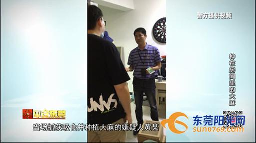 别人种花我种玫瑰,别人种花