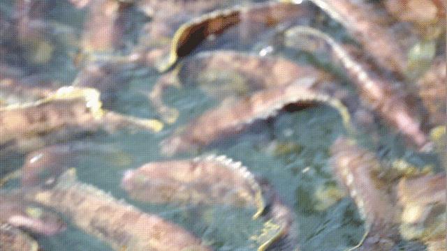 上海到福建自驾游旅游攻略,福建旅游攻略自驾游景点